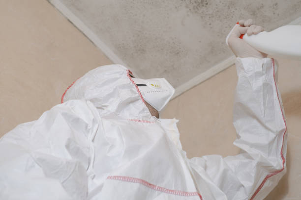 Mold Remediation for Rental Properties in Tulare, CA